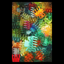 Foto Farbenrausch 11