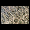 Foto Muster und Strukturen 4