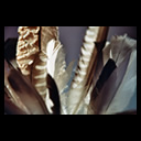 Foto Muster und Strukturen 7