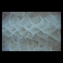 Foto Muster und Strukturen 9